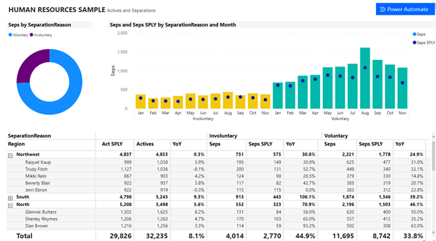 Power BI Report
